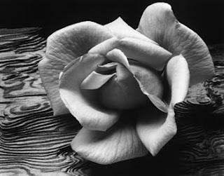 Ansel Adams