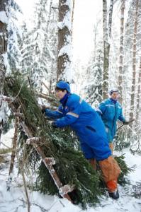Samantha Cristoforetti, prima astronauta italiana Samantha Cristoforetti, prima astronauta italiana