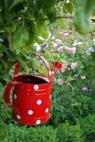 Old Watering Cans