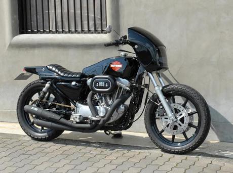 Harley XLH 883 by Tramp