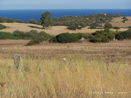 Sardegna invisibile: Sabadi, e i Menhir di Cuili Piras