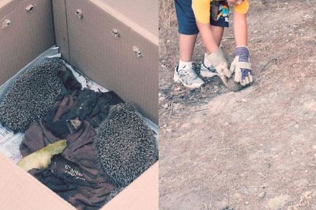 Salento - Reportage di un week-end di mezza estate #2 Salento - Reportage di un week-end di mezza estate #2