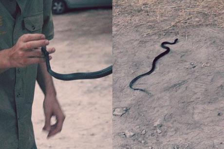 Salento - Reportage di un week-end di mezza estate #2 Salento - Reportage di un week-end di mezza estate #2