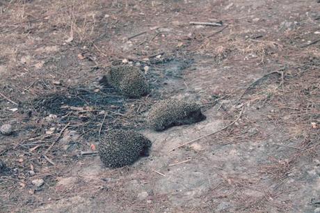 Salento - Reportage di un week-end di mezza estate #2 Salento - Reportage di un week-end di mezza estate #2