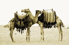 baby dritte di viaggio - La borsa da spiaggia e il genitore cammello