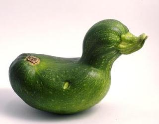 Melanzane ripiene con ricotta e acciughe (Aubergines filled with ricotta cheese and anchovies) Melanzane ripiene con ricotta e acciughe (Aubergines filled with ricotta cheese and anchovies)