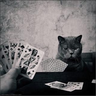 Facciamo una partita a carte?