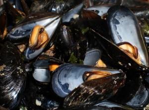 impepata-di-cozze Impepata di cozze