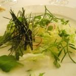 insalata di alghe erbe aromatiche e radici