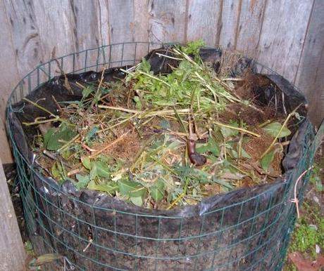 Compostaggio con i resti dei pomodori Compostaggio con i resti dei pomodori