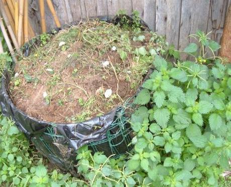 Compostaggio con i resti dei pomodori Compostaggio con i resti dei pomodori