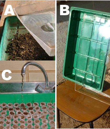 Seminare pomodori con l’aiuto dei dischetti di torba Seminare pomodori con l’aiuto dei dischetti di torba