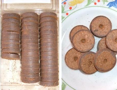 Seminare pomodori con l’aiuto dei dischetti di torba Seminare pomodori con l’aiuto dei dischetti di torba