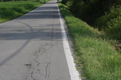 I MEZZI STRADALI SONO LA CAUSA DEL CEDIMENTO DEGLI ARGINI, NON LE NUTRIE O ALTRI ANIMALI!