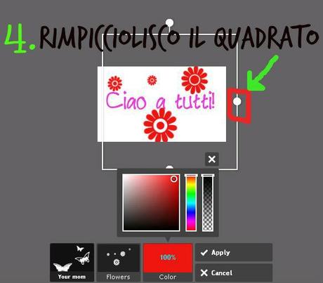 come creare un banner fiorellini colore selezione