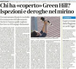 Cani di Green Hill IN AFFIDAMENTO!