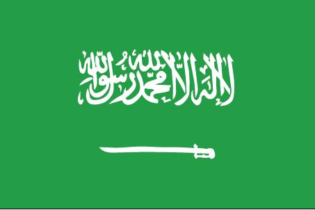 Arabia Saudita, i gran manovratori nell’ombra