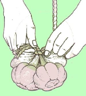 Come fare una treccia di aglio o cipolla Come fare una treccia di aglio o cipolla