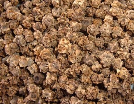 Verificare la scadenza dei semi. Durata della germinabilità Verificare la scadenza dei semi. Durata della germinabilità