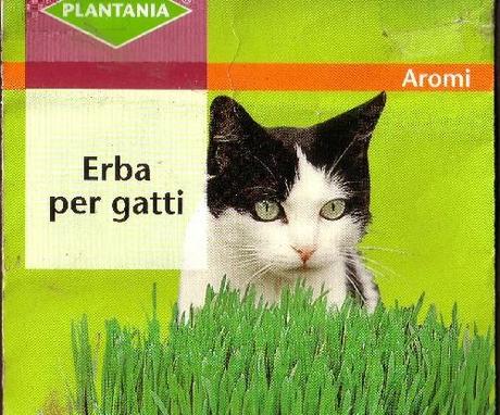 Verificare la scadenza dei semi. Durata della germinabilità Verificare la scadenza dei semi. Durata della germinabilità