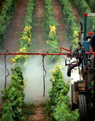 Parkinson da Pesticidi, Lotta per l’Agricoltura Biologica