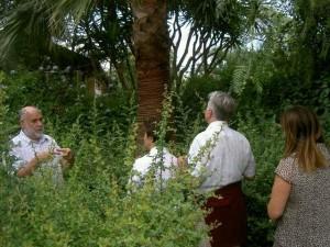 Albenga, tra piante e poeti al giardino di Gerry