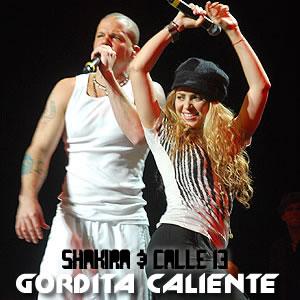 Shakira - Gordita