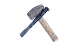 Calli della vita Calli della vita