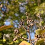 21102010024 21102010024