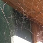 21102010018 21102010018