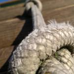 21102010020 21102010020