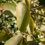 21102010023 21102010023