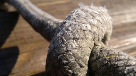 21102010019 N8: prova fotografica in modalità Primo piano