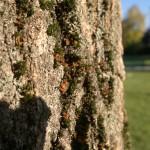 21102010021 21102010021