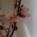 21102010033 21102010033