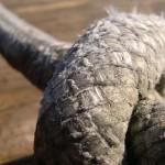 21102010019 21102010019