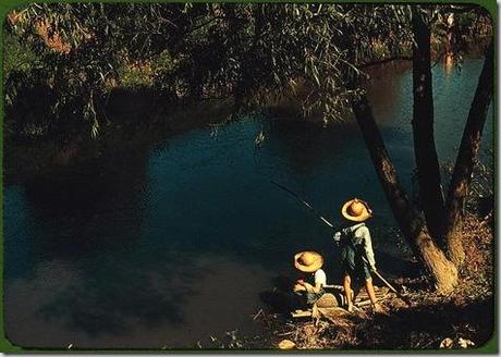 Boys fishing in a bayou. Schriever, Louisiana, June 1940. Reproduction from color slide. Photo by Marion Post Wolcott. Prints and Photographs Division, Library of Congress