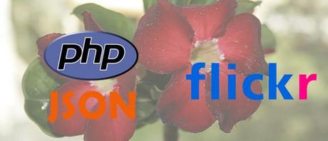 Recuperare le immagini da Flickr utilizzando PHP e JSON