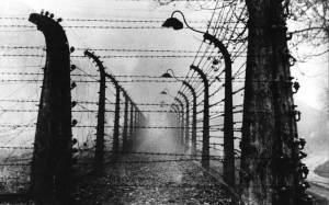 Auschwitz solo andata! – Intervista a Domenico Scali-