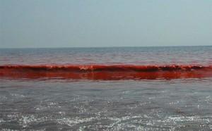 Il mar d’Azov diviene improvvisamente rosso, sconcertando la popolazione