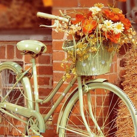 Shabby Chic Autumn Fotografia di biciclette alicebgardens su Etsy