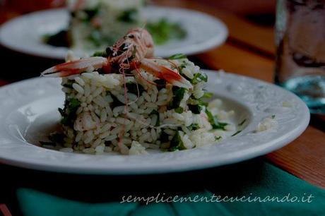 risopiatti Riso freddo con gamberi e rughetta