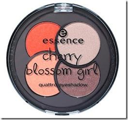 essence blossom palette essence blossom palette