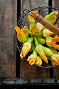 FIORI DI ZUCCA: COTTI E CRUDI