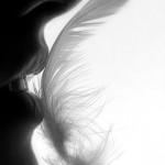 Voce-e-scrittura Gli argomenti giusti per la tua scrittura