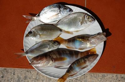 Nostro Mar. Nostro Mar.