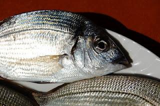 Nostro Mar. Nostro Mar.