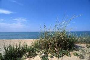 Petacciato, splendida meta nel litorale del Molise, tra dune e mare