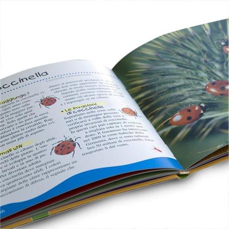 Una altro piccolo libro sugli insetti