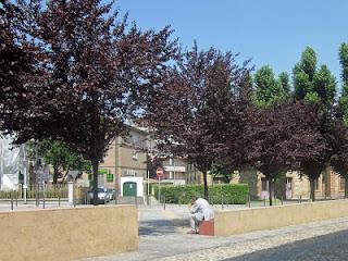 I partiti a Fidenza? cotti e ricotti